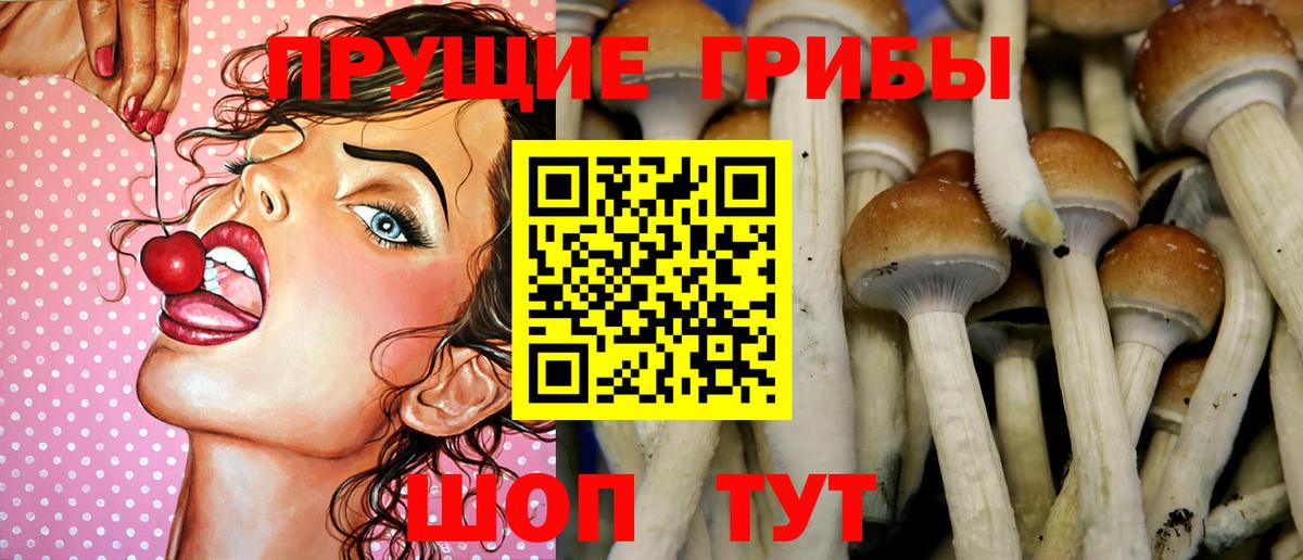 Галлюциногенные грибы мухоморы  Вход с VPN  Калуга  Псилоцибиновые грибы мицелий 